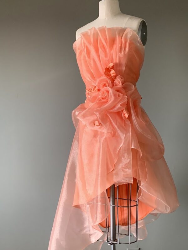 Peach Blossom Dream